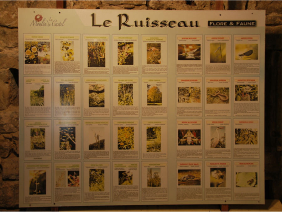 Faune et flore locale